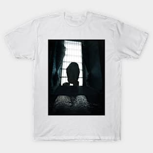 Statue Room T-Shirt